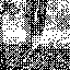vandorsx.pages.dev favicon